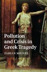 Fabian Meinel, Fabian (Universite D''aix-Marseille) Meinel, Fabian (Universite d'Aix-Marseille) Meinel, Meinel Fabian - Pollution and Crisis in Greek Tragedy