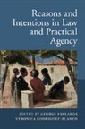 George Rodriguez-Blanco Pavlakos, George Pavlakos, Pavlakos George, Veronica Rodriguez-Blanco, Rodriguez-Blanco Veronica - Reasons and Intentions in Law and Practical Agency
