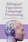 Roberto Heredia &amp; Anna B Cie?Licka, Roberto R. (Texas a &amp; M University) Ciesl Heredia, Roberto R. Cieslicka Heredia, Anna B. Cie Licka, Cie&amp;, Anna B. Cie&amp;347;licka... - Bilingual Figurative Language Processing
