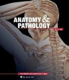 Anatomical Chart Company, Anatomical Chart Company - Anatomy & Pathology