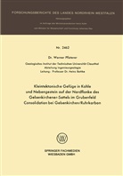 Werner Pfisterer - Kleintektonische Gefüge in Kohle und Nebengestein auf der Nordflanke des Gelsenkirchener-Sattels im Grubenfeld Consolidation bei Gelsenkirchen/Ruhrkarbon