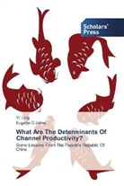 Eugene D Jafee, Eugene D. Jafee, Eugene D.Jafee, Y Ling, Yi Ling - What Are The Determinants Of Channel Productivity?