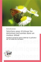 Karima Boussouara, Boussouara-k - Solutions pour diminuer les