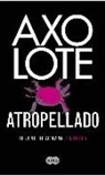 Helene Hegemann - Axolote atropellado
