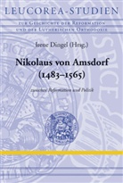 Irene Dingel - Nikolaus von Amsdorf (1483-1565)