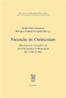 Daniel Mourkojannis, Rüdiger Schmidt, Rüdiger Schmidt-Grepaly, Rüdiger Schmidt-Grépàly - Nietzsche im Christentum