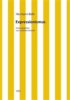 Hermann Bahr, Claus Pias, Gottfried Schnödl - Expressionismus