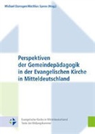 Michae Domsgen, Michael Domsgen, Spenn, Matthias Spenn - Perspektiven der Gemeindepädagogik in der Evangelischen Kirche in Mitteldeutschland