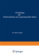 Robert Theodor Wilhelm Lüpke - Grundzüge der Elektrochemie auf experimenteller Basis