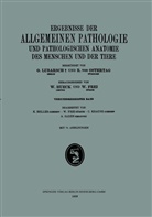 Beller, K Beller, K. Beller, Frei, W Frei, W. Frei... - Ergebnisse der Allgemeinen Pathologie und Pathologischen Anatomie des Menschen und der Tiere
