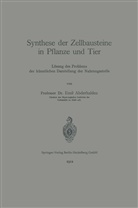 Emil Abderhalden - Synthese der Zellbausteine in Pflanze und Tier
