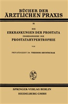 Theodor Hryntschak - Die Erkrankungen der Prostata Insbesondere die Prostatahypertrophie