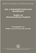Rüdiger Lux, Ernst-Joachim Waschke - Die unwiderstehliche Wahrheit