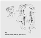 Hans C Artmann, Gerhard Rühm, Oswald Wiener, Nils Röller, Klaus Sander - 2 : 3, Oswald Wiener zum 65. Geburtstag, 1 Audio-CD (Hörbuch)