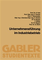 Hanns Hub - Unternehmensführung im Industriebetrieb