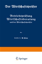 W Prion, W. Prion - Betriebsprüfung Wirtschaftsberatung und der Wirtschaftsprüfer