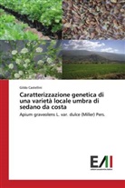 Gildo Castellini - Caratterizzazione genetica di una varietà locale umbra di sedano da costa