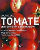 CULTIVO DEL TOMATE