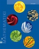 Autorenteam, Markus Brandenberg - Mathematik 3 Primarstufe / Lösungen