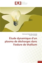 Mohamed Bechi Ben Hamida, Mohamed Bechir Ben Hamida, Kamel Charrada - Etude dynamique d un plasma de