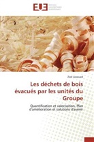 Zied Lassoued, Lassoued-z - Les dechets de bois evacues par