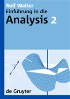 Rolf Walter - Rolf Walter: Einführung in die Analysis - 2: Rolf Walter: Einführung in die Analysis. 2. Bd.2