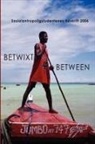 Mari D. Bergseth, Ingunn Dahle, Birgitte Dambo - Betwixt and Between 2006