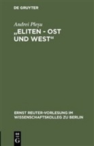 Andrei Plesu - Eliten, Ost und West