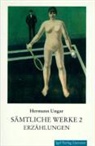 Hermann Ungar, Dieter Sudhoff - Sämtliche Werke - 2: Erzählungen