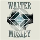 Walter Mosley, Walter/ Graham Mosley, Dion Graham - Inside a Silver Box (Audio book)
