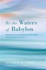 Benjamin W. Farley, Benjamin W./ Rickenbaker Farley - By the Waters of Babylon
