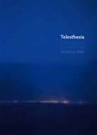 M Wark, Mckenzie Wark, Wark McKenzie - Telesthesia - Communication, Culture & Class