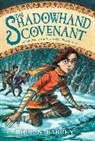 Brian Farrey, Brett Helquist - Shadowhand Covenant