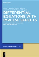 Nikolai Perestyuk, Nikolai A Perestyuk, Nikolai A. Perestyuk, Viktor Plotnikov, Viktor A Plotnikov, Viktor A. Plotnikov... - Differential Equations with Impulse Effects