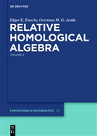 Edgar Enochs, Edgar E Enochs, Edgar E. Enochs, Overtoun M G Jenda, Overtoun M. G. Jenda - Edgar E. Enochs; Overtoun M. G. Jenda: Relative Homological Algebra - Volume 2: Relative Homological Algebra. Vol.2