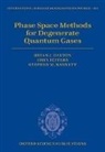 Stephen M. Barnett, Bryan J. Dalton, Bryan J. (Professor Dalton, Bryan J. Jeffers Dalton, John Jeffers - Phase Space Methods for Degenerate Quantum Gases