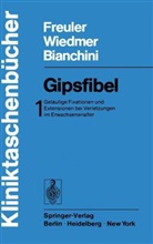 D. Bianchini, Franz Freuler, U. Wiedmer - Gipsfibel