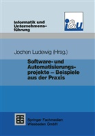 Joche Ludewig, Jochen Ludewig - Software- und Automatisierungsprojekte - Beispiele aus der Praxis