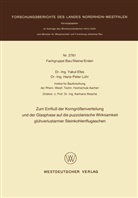 Yakut Efes - Zum Einfluß der Korngrößenverteilung und der Glasphase auf die puzzolanische Wirksamkeit glühverlustarmer Steinkohlenflugaschen