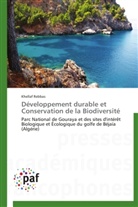 Khellaf Rebbas, Rebbas-k - Developpement durable et