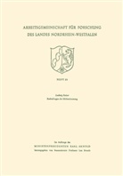 Ludwig Raiser - Rechtsfragen der Mitbestimmung