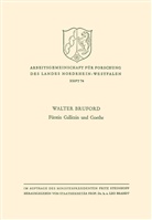 Walter Horace Bruford - Fürstin Gallitzin und Goethe