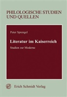 Peter Sprengel - Literatur im Kaiserreich