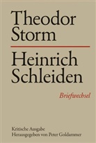 Theodor Storm, Heinrich Detering, Gerd Eversberg, Peter Goldammer - Briefwechsel - Bd.14: Theodor Storm - Heinrich Schleiden