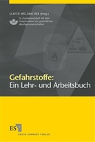 Ulrich Welsbacher, Ulrich Welzbacher - Gefahrstoffe
