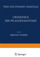 Bruno Huber - Grundzüge der Pflanzenanatomie
