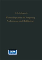 Franjo Bosnjakovic - Wärmediagramme für Vergasung, Verbrennung und Rußbildung