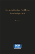 Robert Sauer - Nichtstationäre Probleme der Gasdynamik