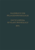 Fredrick Taylo Addicott, Fredrick Taylor Addicott, Anto Lang, Anton Lang, Wil Ruhland, Wilhelm Ruhland - Differentiation and Development / Differenzierung und Entwicklung, 3 Tle.