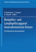 R Bachmann E und B Scharrer, R. Bachmann E. und B. Scharrer, Scharrer, B Scharrer, E Scharrer - Blutgefäss- und Lymphgefässapparat Innersekretorische Drüsen, 2 Teile